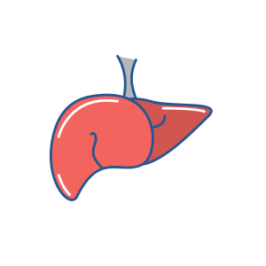 Liver Function Tests